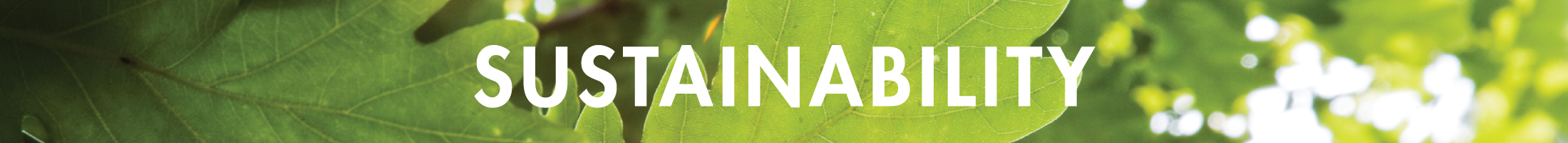 Sustainability-Page-Bannernew